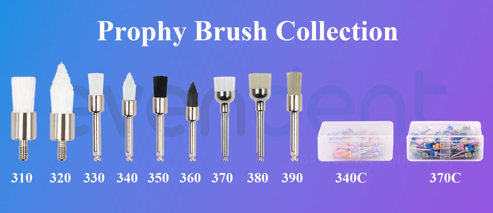 Individual close-up images of each brush type