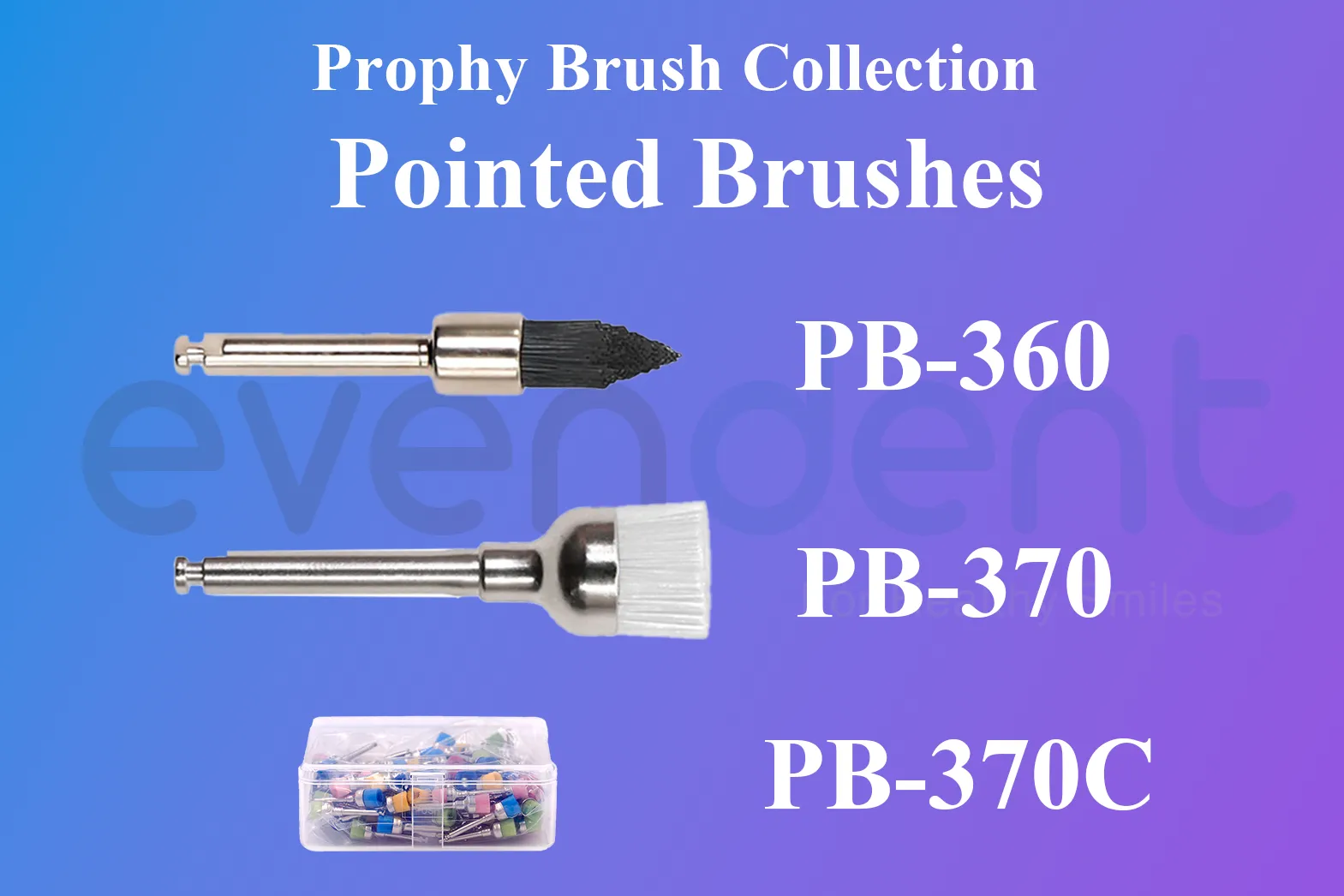 Prophy Brush Pointed Brushes (PB-360, PB-370, PB-370C)