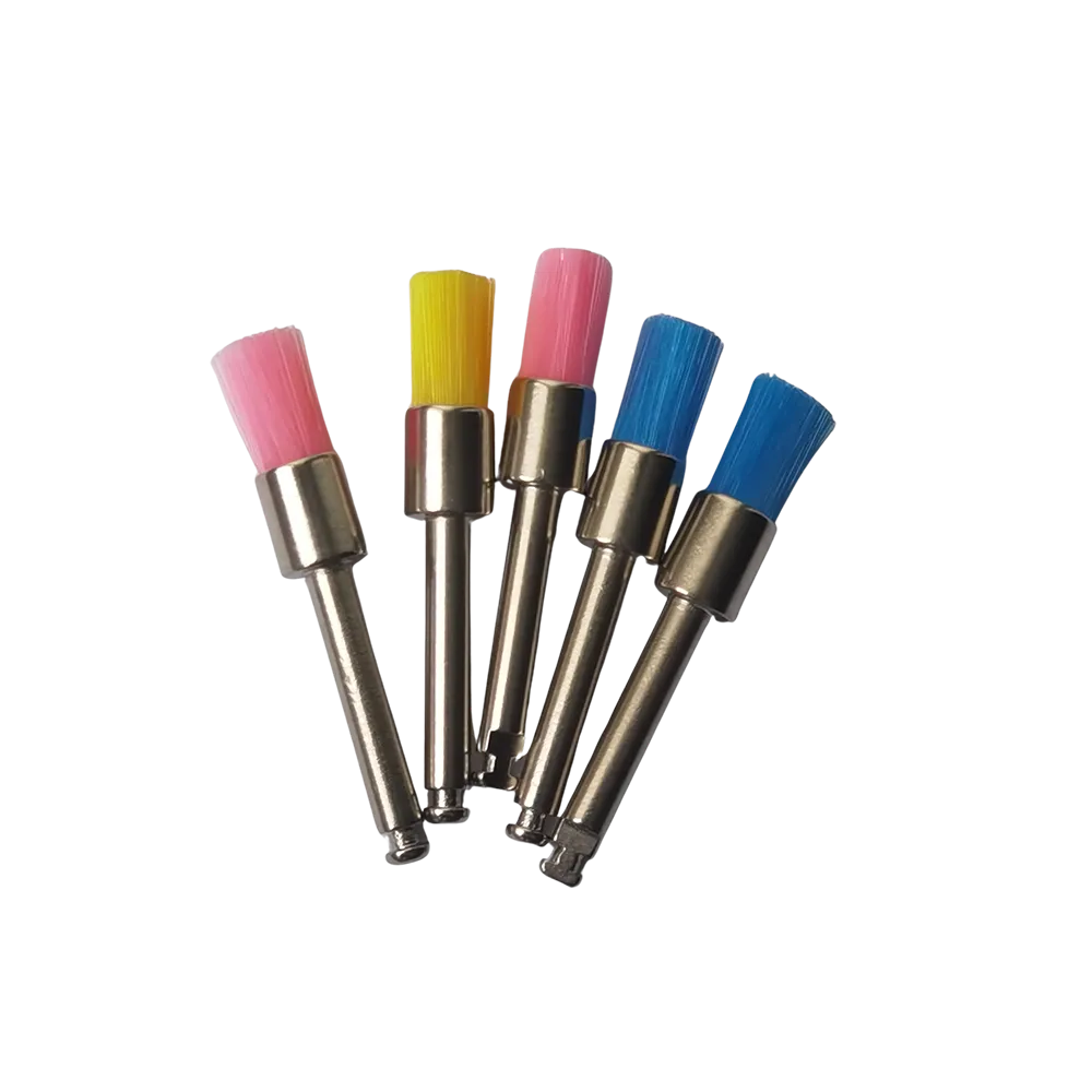 Prophy Brush