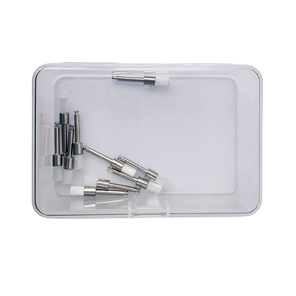 Prophy Brush