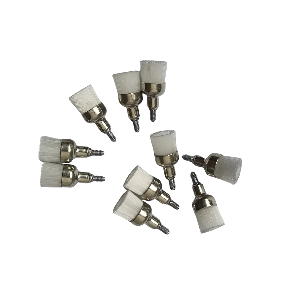 Prophy Brush