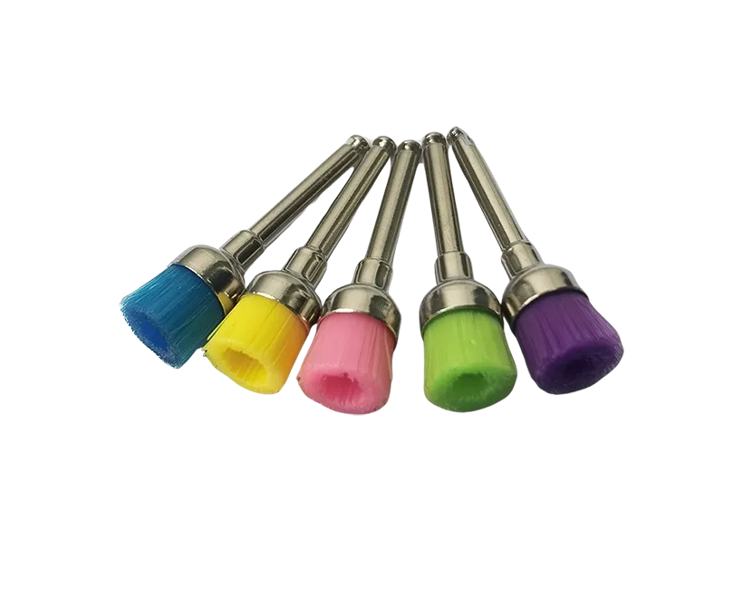prophy brush
